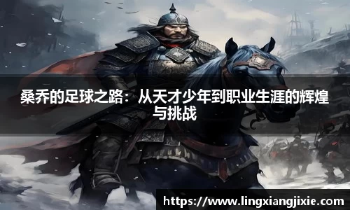 桑乔的足球之路：从天才少年到职业生涯的辉煌与挑战